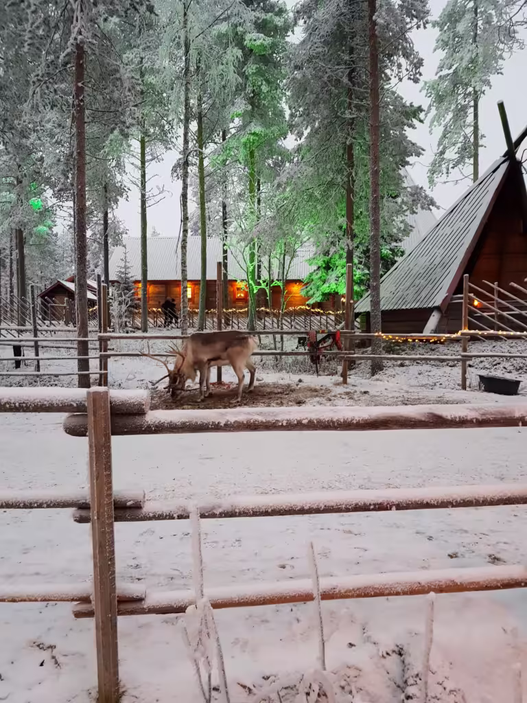 Farma Elfów