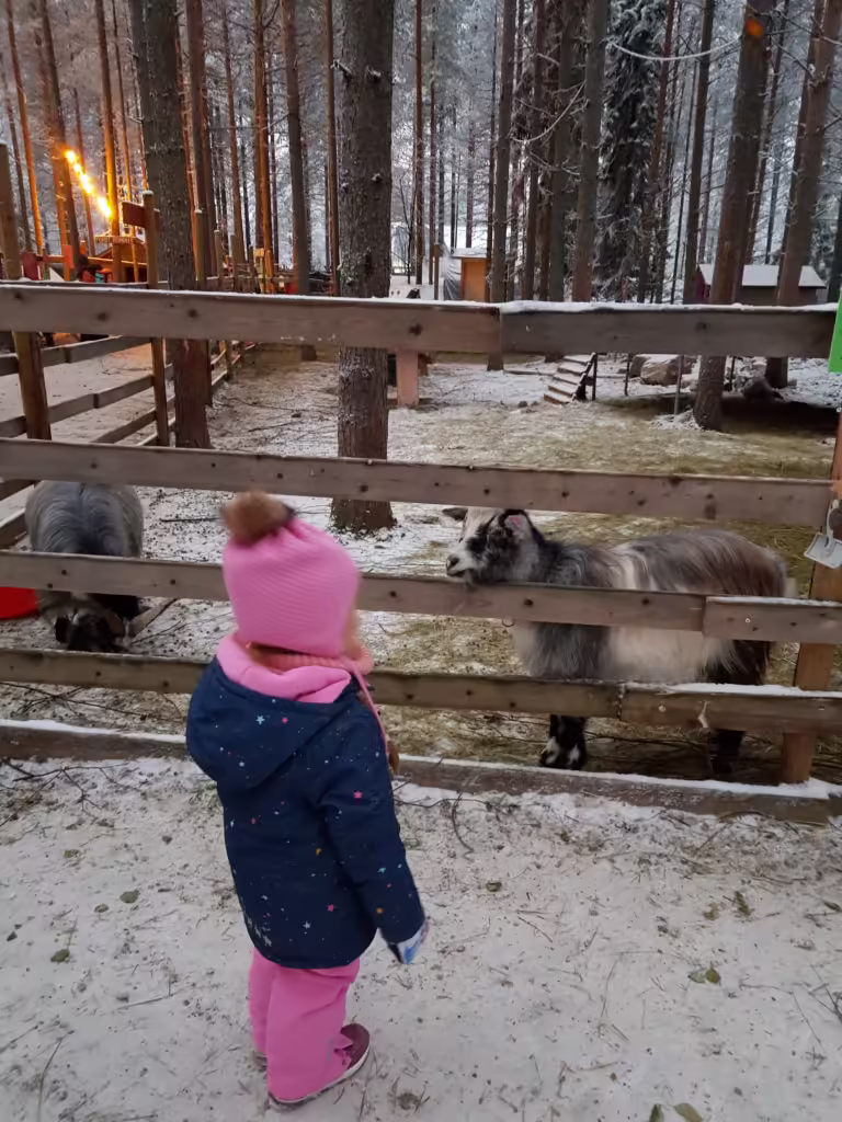 Weekend w Rovaniemi - z wizytą u Świętego Mikołaja - Farma Elfów i Ala