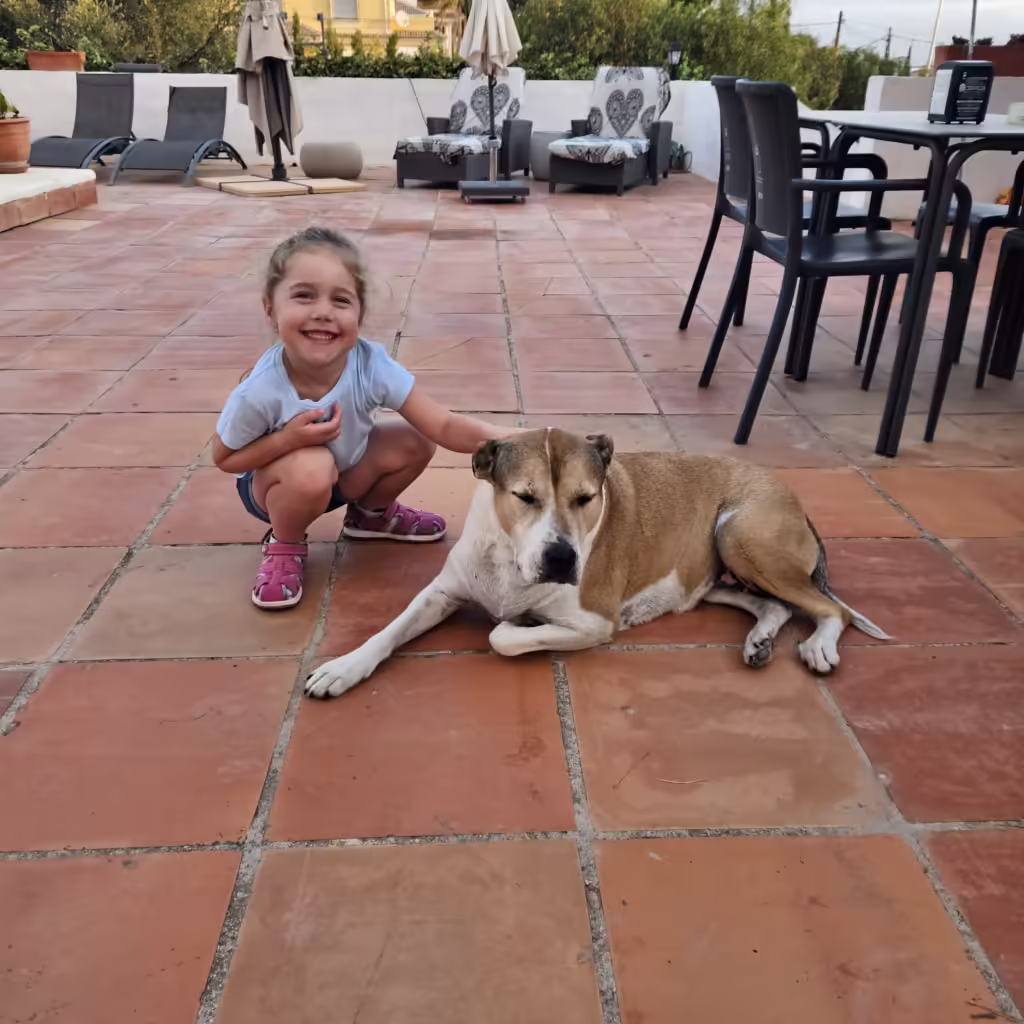 Gotowy plan podróży po Andaluzji. Podsumowanie kosztów wycieczki. B&B Casa Rubi